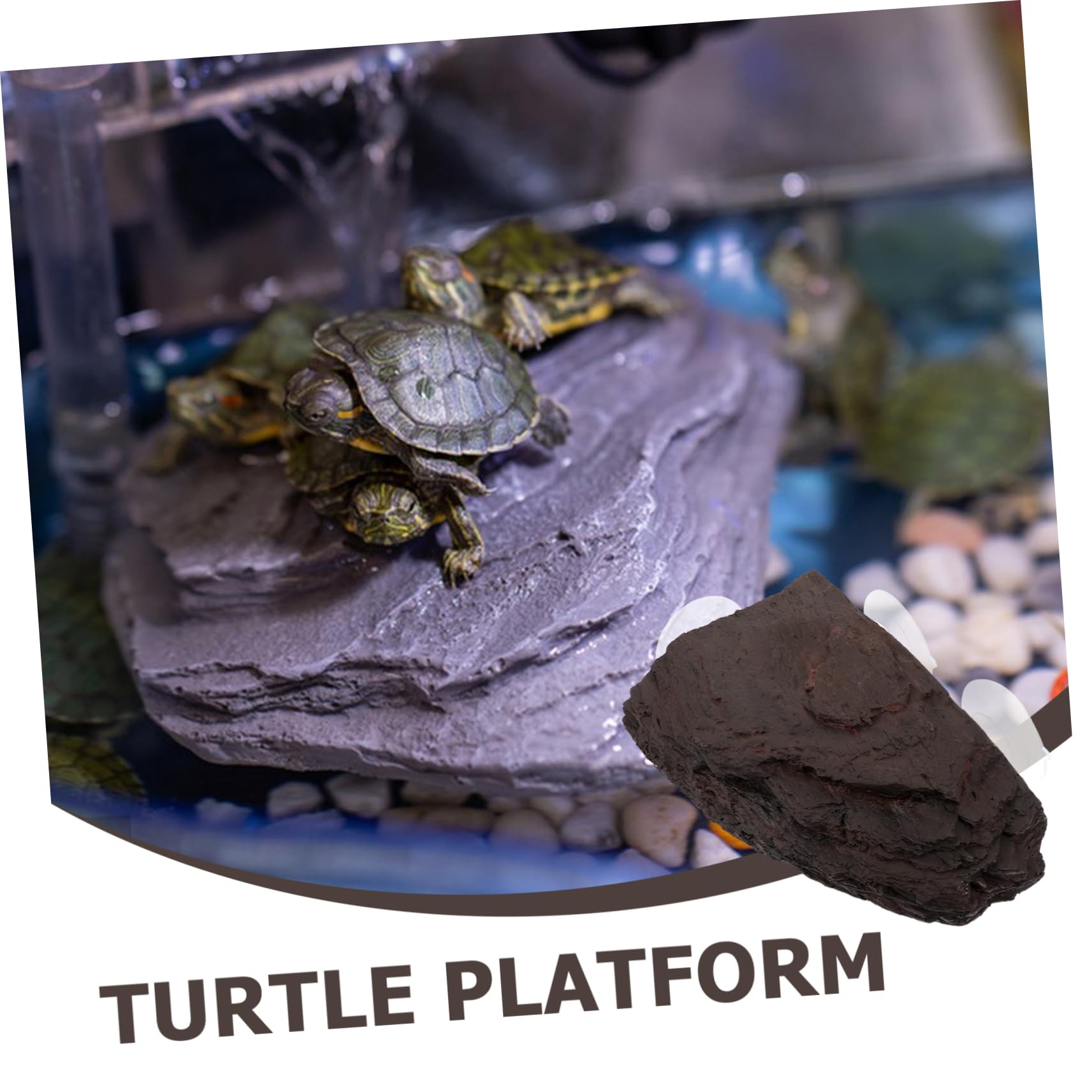 Plataforma Tortugas Acuario Plataforma Sol Reptiles Decoración Acuario Refugio Tortugas