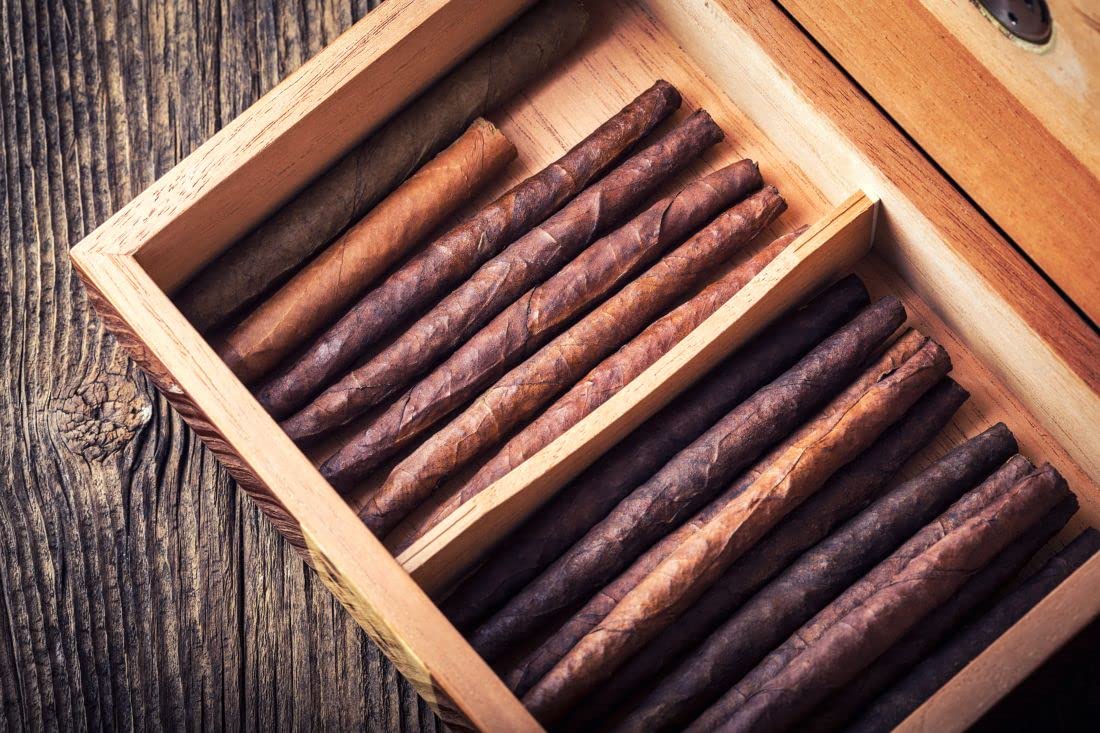 life without tobacco The Big Global Quit: World No Tobacco Day 2023