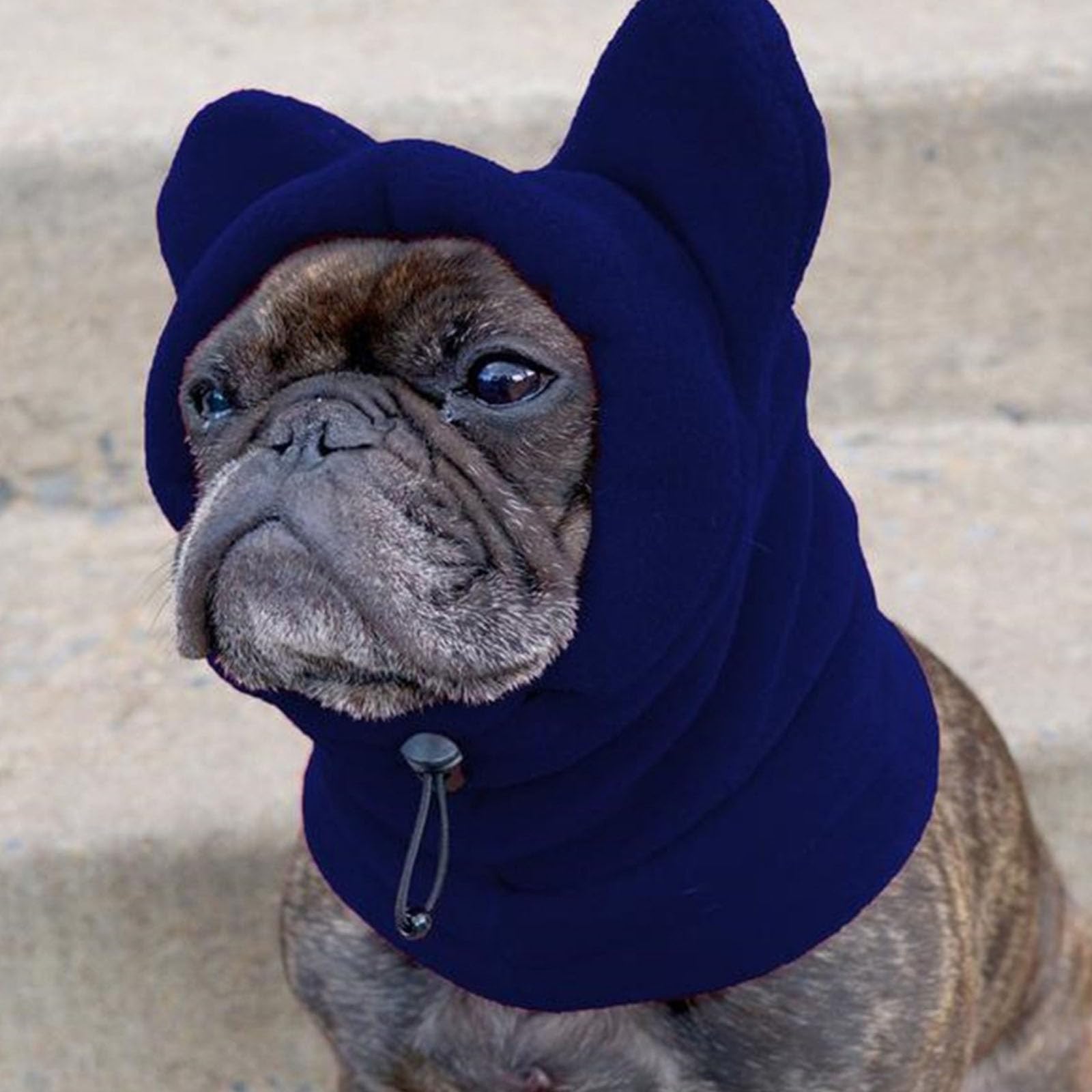 Pet Winter Warm Calming Ear Muffs Hat,Dog Quiet Snood Ear Cover Fleece Hat,Adjustable Pet Windproof Head Wrap for Small Medium Large Dog_S(Blue) - Image 3