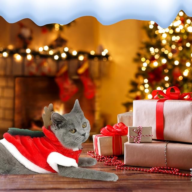 Foto 5 de 7 de Gxlaihly - Disfraz de Navidad para perro y gato (B-XL)