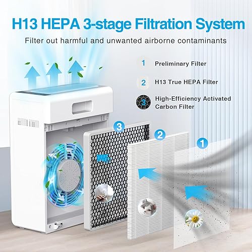 Miniatura 4 de E-300L - Purificador de aire y 2 filtros combinados, purificadores de aire para el hogar, habitación grande, filtro HEPA H13, filtro ultra
