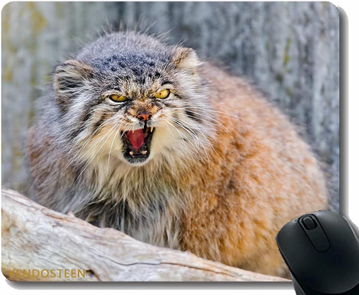 YENDOSTEEN Mouse Pad Personalized,Manul Muzzle Aggression Cat 96485 Gaming Mouse Mat