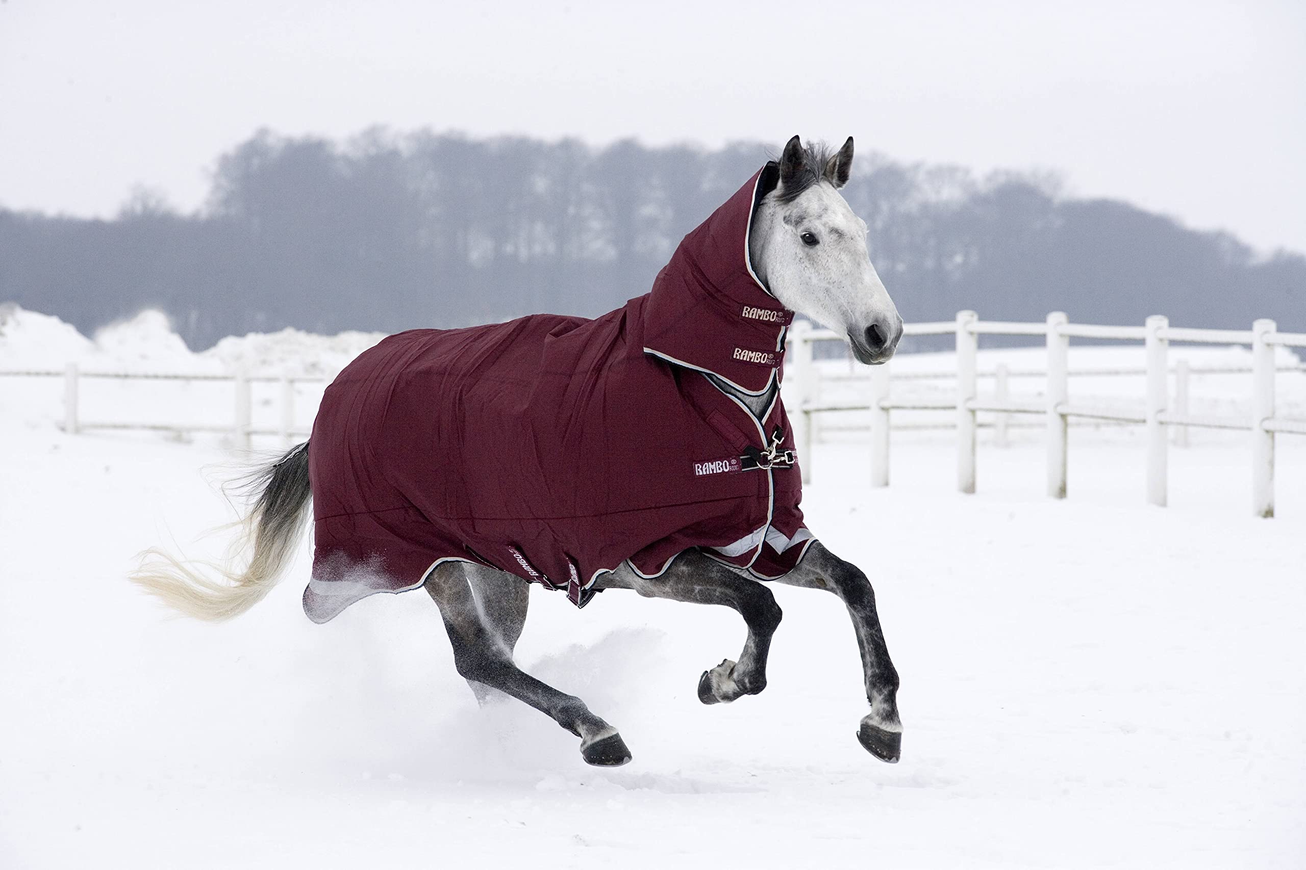 Tapis cheval Rambo Tout-en-un Heavy 400 g au pré par temps de gel et de neige