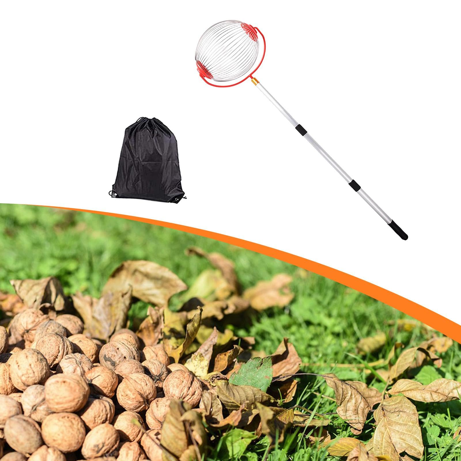 Sharplace Attrezzo Manuale Multiuso per La Raccolta di, Ghiande, E Castagne, Ideale per L'uso Domestico E All'aperto, Piccola Gabbia