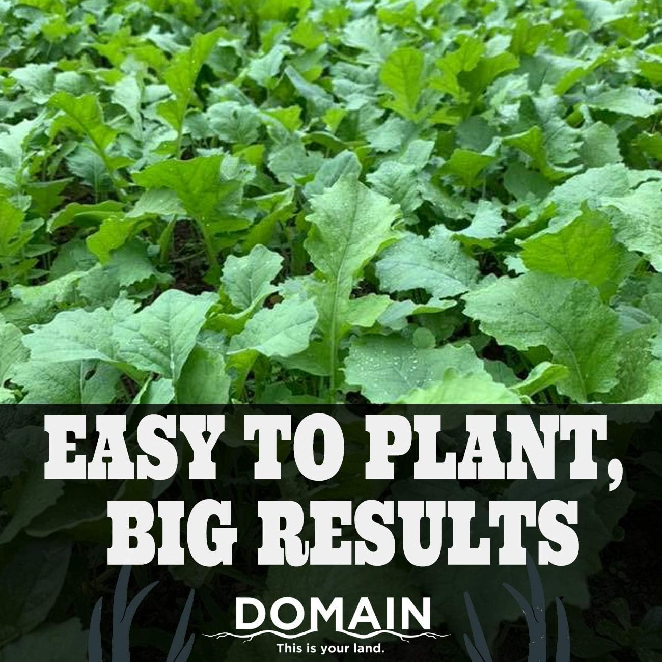 Domain Outdoor Big Sexy Deer Food Plot Seed, 1/2 Acre, High Level of Nutrients & Protein to Support Antler Growth and Health, Cold Tolerant, Fast Germination, Easy to Plant