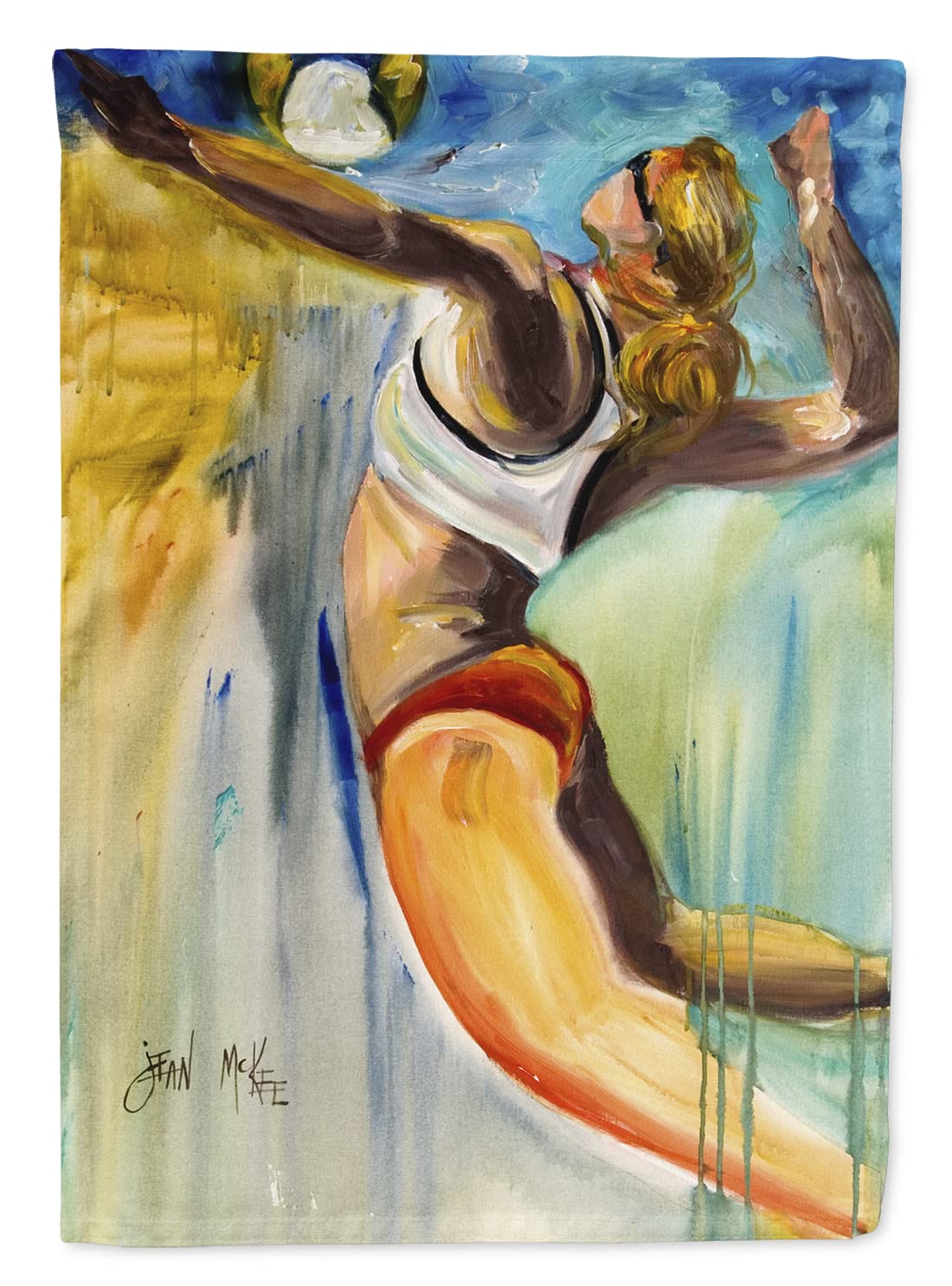 Beach Volley Drapeau sur Toile Salon Grande Décoration Murale Multicolore Caroline S Treasures