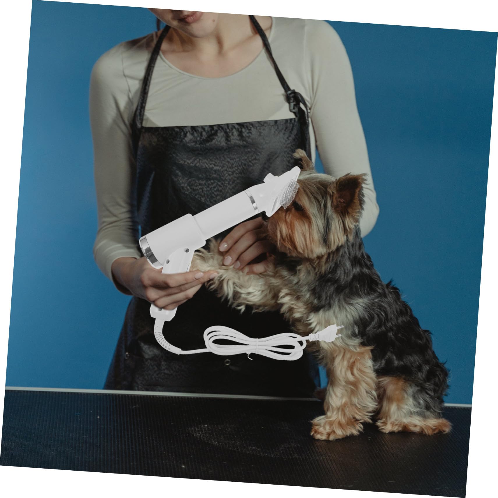 Gadpiparty Peigne Soufflant pour Animaux Domestiques Blanc en Plastique, Sèche-cheveux Portable pour Chiens et Chats Fonction Démêlante Sûre, Toilettage la Maison
