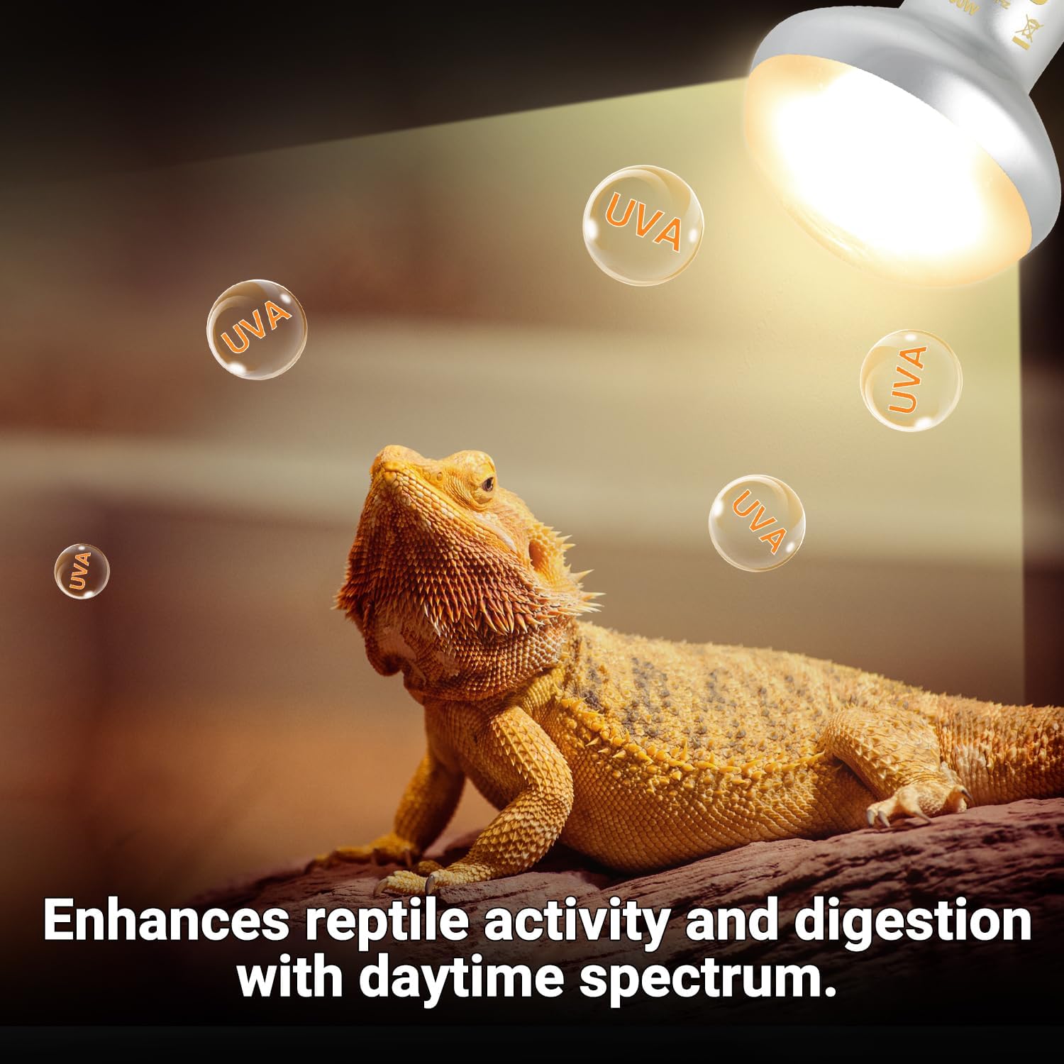 Oiibo Reptile Heat Lamp Blub Combo Pack, Dual Reptile Lamp Fixture with Intense Basking Spot Light UVA Daylight Reptile Heat Lamp & 26W Energy Saving UVA 10.0 UVB Bulb Spiral Compact Bulb