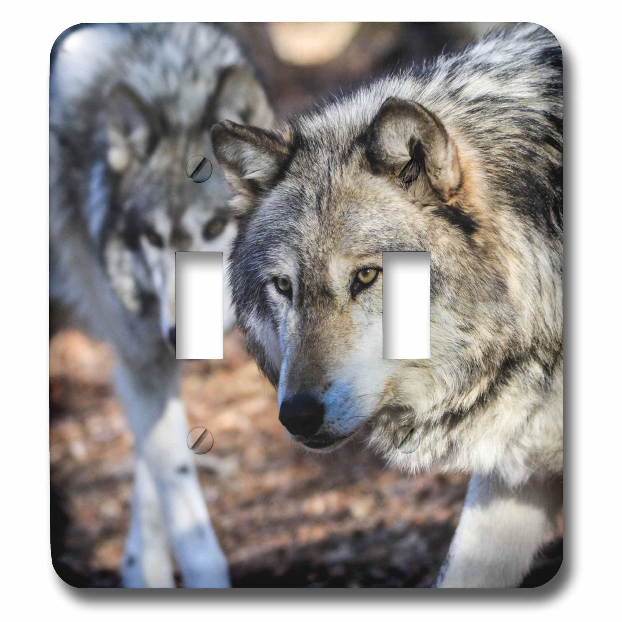 Interrupteur loup gris déco nature sauvage pour chambre et salon