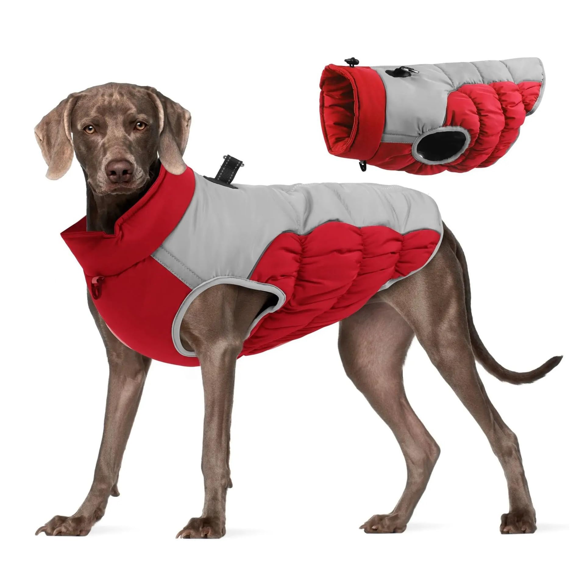 Chiens taille moyenne et grande protégés du froid grâce au manteau imperméable rouge