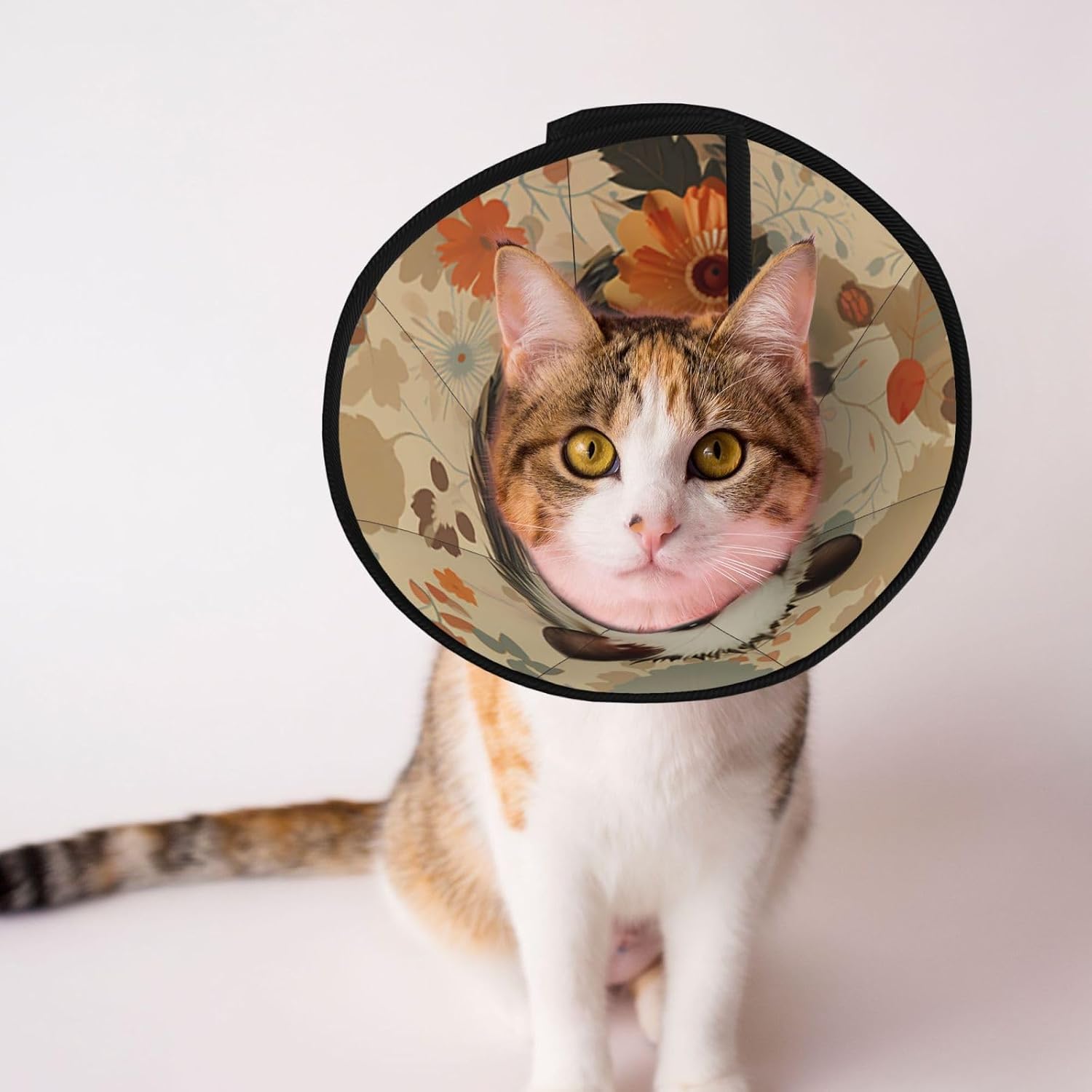 Custom Pet Cones - Unique Design Cat & Dog Cone, Collar for Post-Surgery Recovery, Adjustable Neck Opossum Bloom Medium
