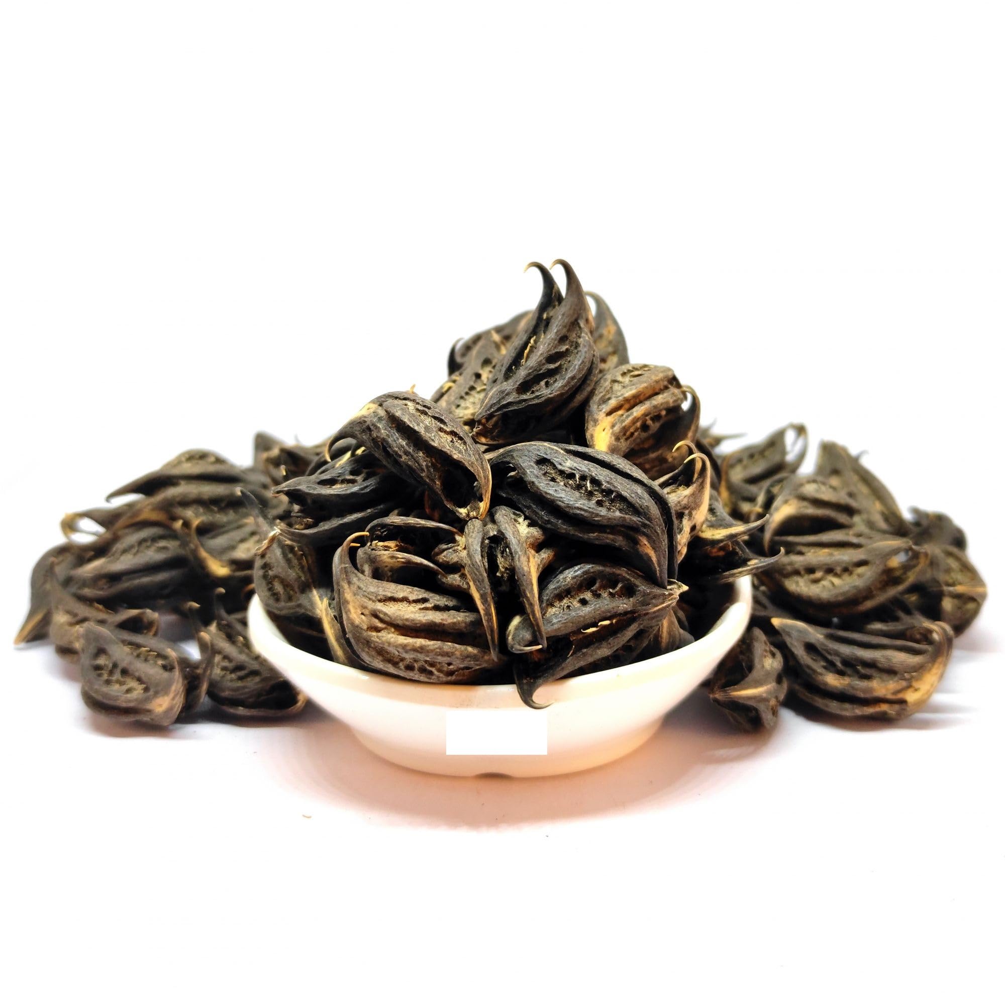 See full amazon price history chart for Bichhu Phal BICHHU PHAL-BICCHU FAL-BICCHO PHAL-KAKNASA-MARTYNIA ANNUA (100 Gms) Bichhu Phal BICHHU PHAL-BICCHU FAL-BICCHO PHAL-KAKNASA-MARTYNIA ANNUA (100 Gms) (B08PVY7Q1D) Amazon Price History, Amazon Price Tracker