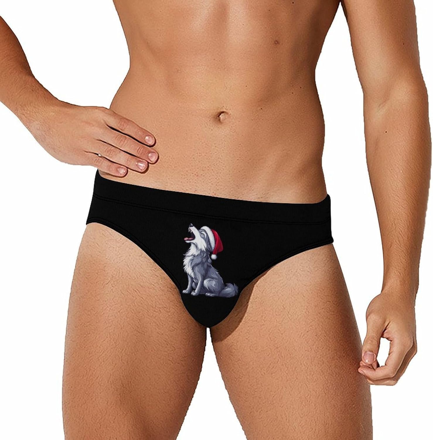 Howling Wolf Christmas Men's Swimsuit Brief Sexy Bikini Briefs Retro Printed Swimwear Quick Dry Swimming Trunks 3X-Large