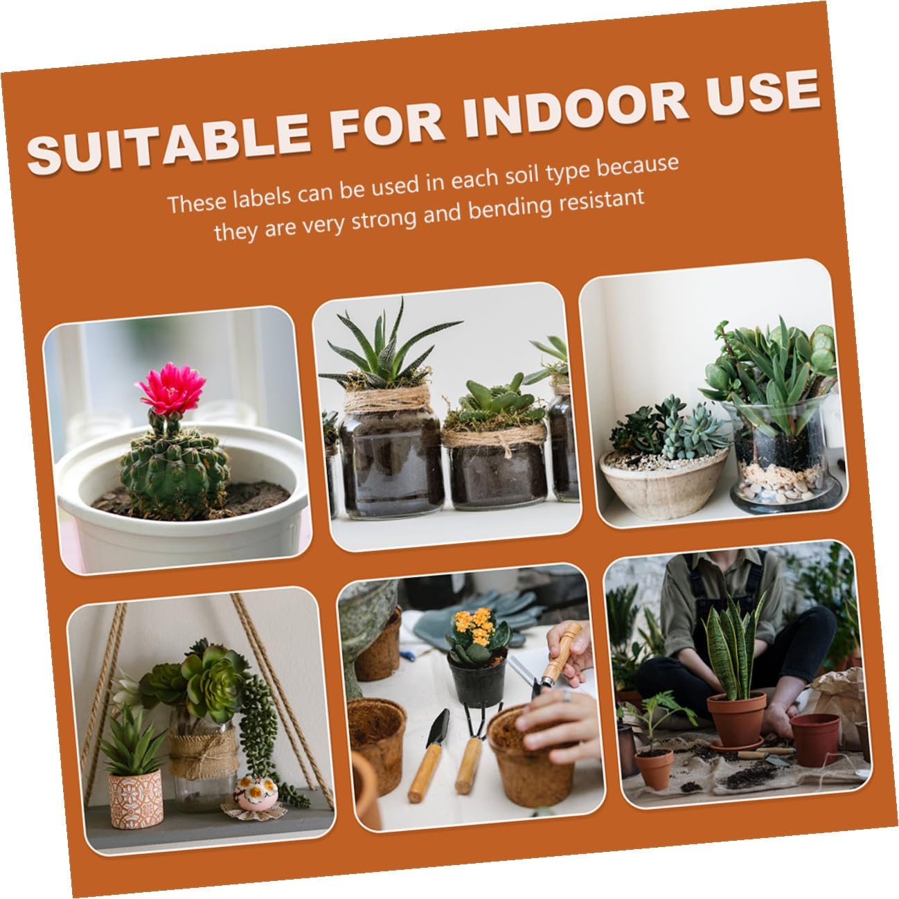 600pcs Plastic Plant Labels Garden Markers Waterproof Small Plant Tags for Pots and Succulents Multi-Color 10x1.8cm Stakes for Outdoor Gardening