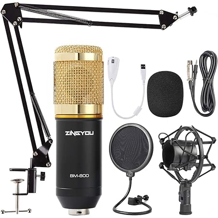 ZINGYOU Condenser Microphone Bundle, BM-800 Mic Kit with Adjustable Mic Suspension Scissor Arm, Metal Shock Mount and Double-Layer Pop Filter for Studio Recording & Broadcasting (Gold)