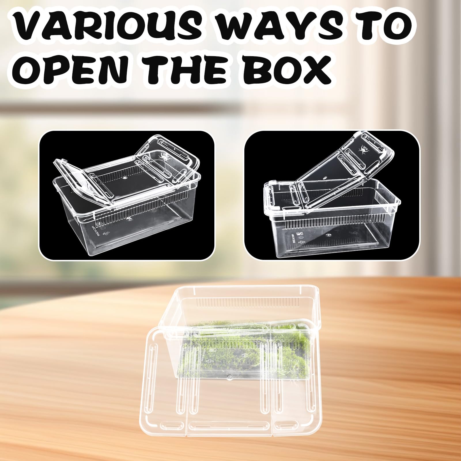 10 PCS Reptile Feeding Box, Isopod Enclosure Plastic Terrarium - Image 4