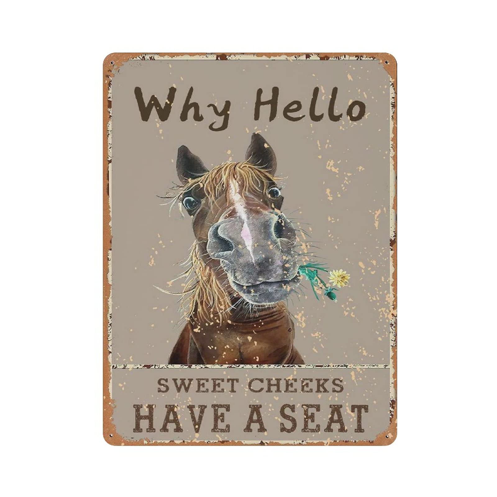 Metal Tin Sign Sweet Cheeks Vintage Tin Poster Metal Sign Wall Decoration Country Kitchen Home Garage Decor 16"x12"