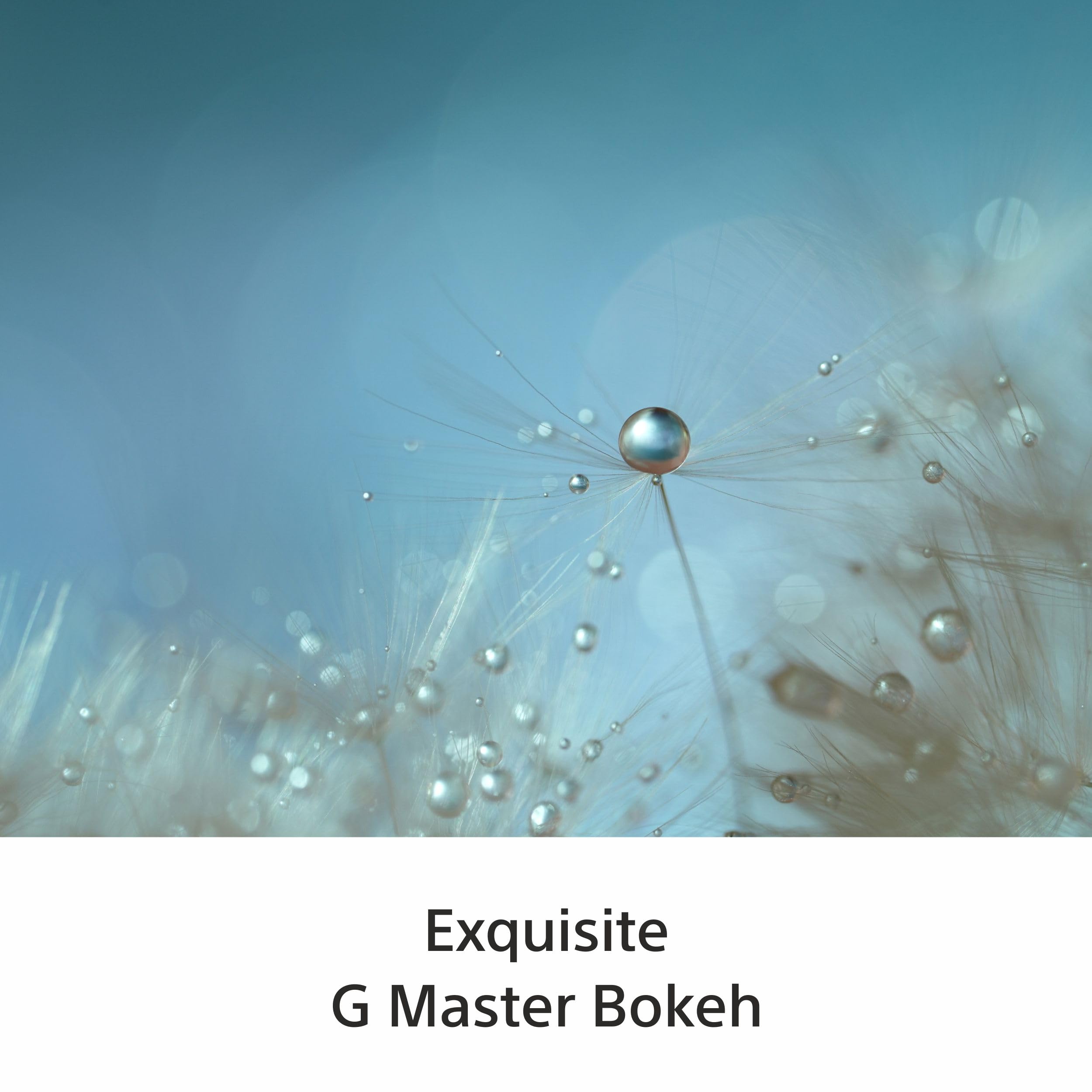 Sony FE 100mm F2.8 STF GM OSS (SEL100M28GMB) – Porträtobjektiv für Sony E-Mount Vollformat, extrem weiches Bokeh, G Master Teleobjektiv mit Autofokus & Bildstabilisator, ideal für Sony A7-Serie, A6700