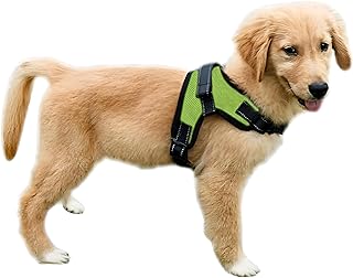 Copatchy Reflective Adjustable Harness Xx Small