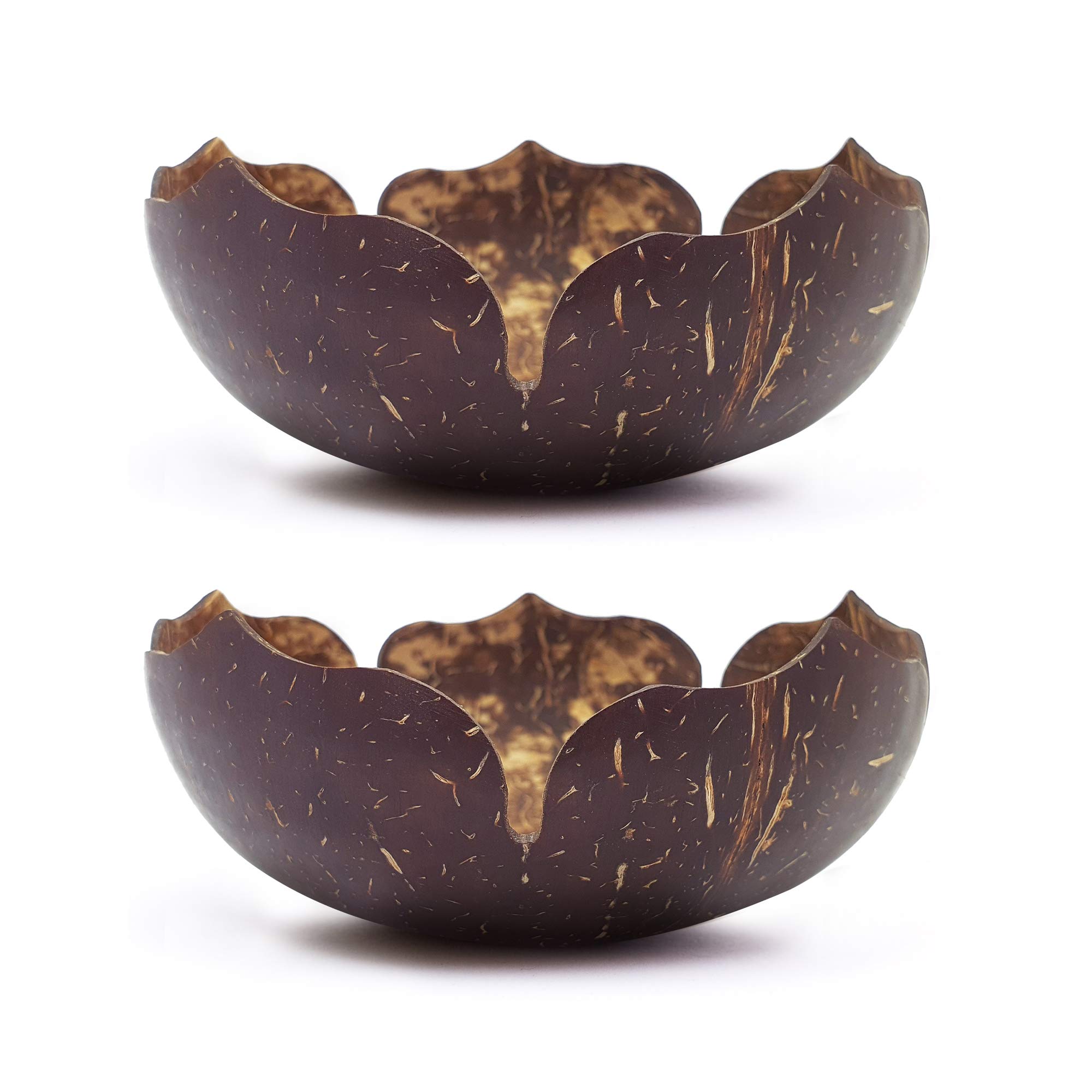 Buy Rainforest s Jumbo Flower Coconut (2Pack) Made from a Recled Coco Shell NatureInspired