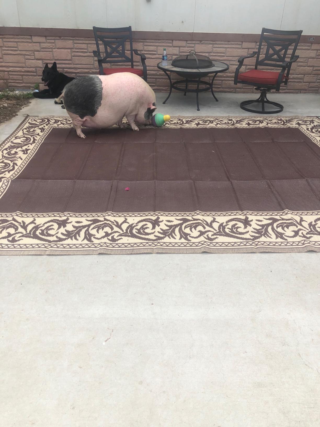 Customer Image