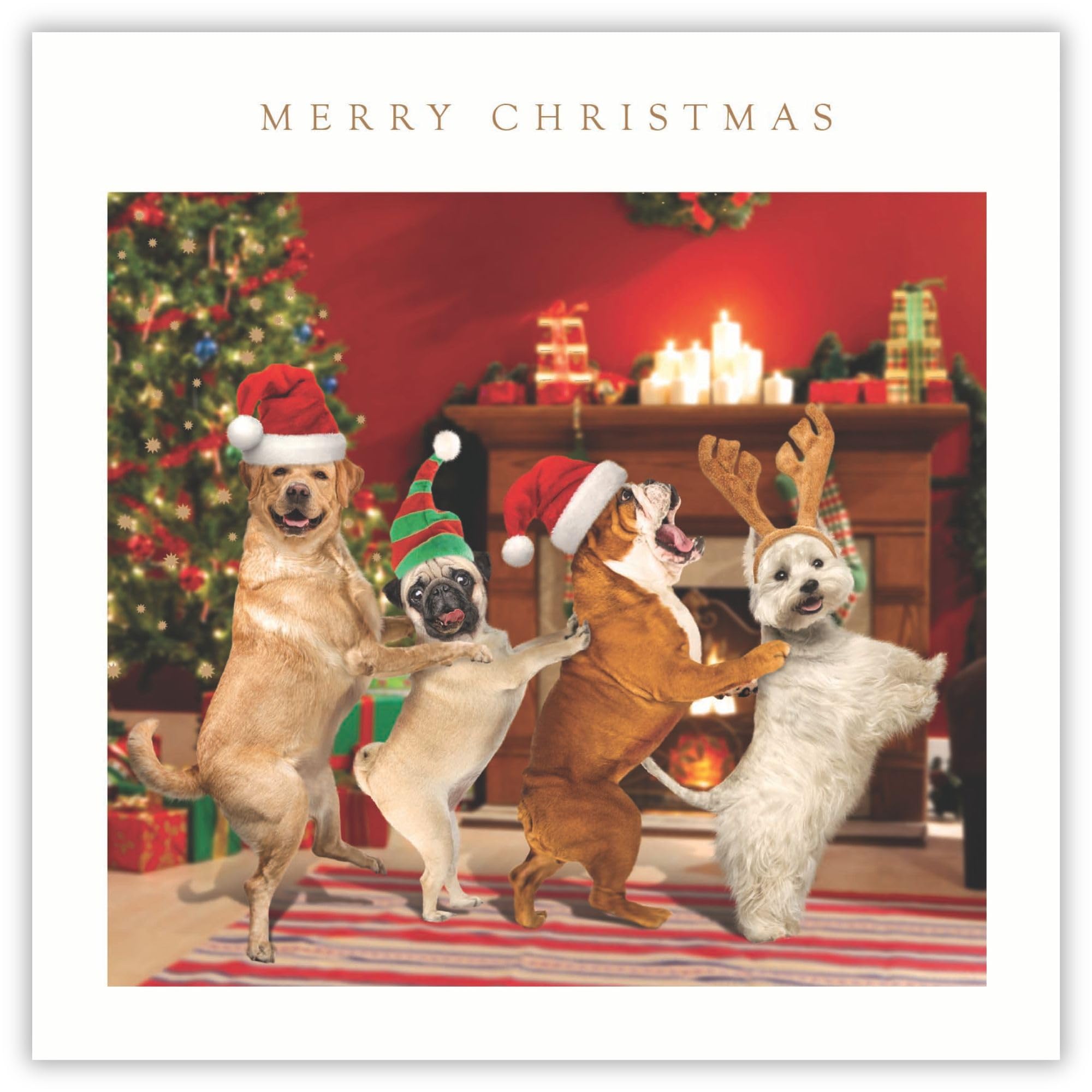 Tracks Publising Charity Christmas Cards Pack of 5 - Dancing Dogs - Foil Finish - Festive Christmas Cards Multipack - In Aid of Rainbow Trust