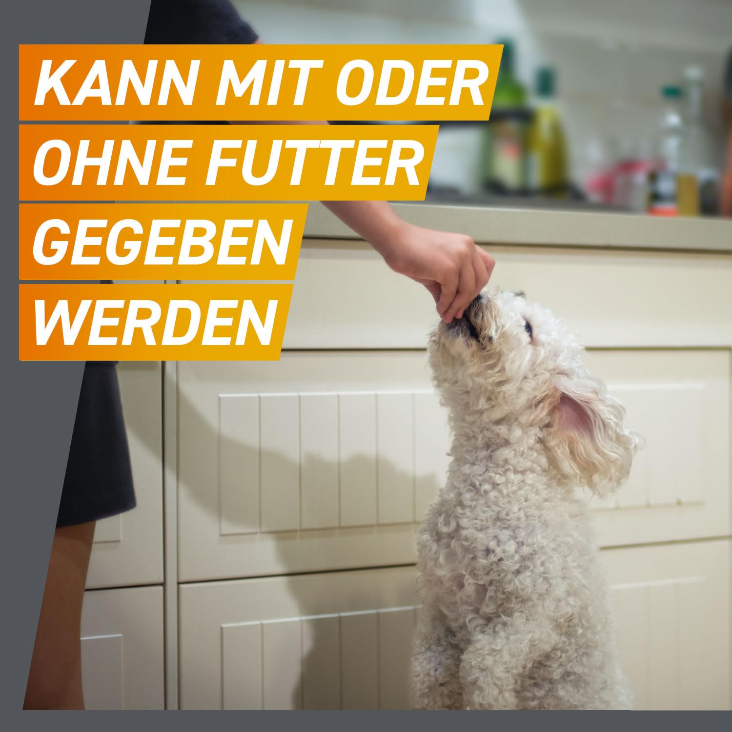 FRONTPRO Hund XL - Kautablette gegen Zecken & Flöhe (Hunde 25 bis 50 kg) | 3x Kautabletten (2er Pack) für 6 Monate Schutz - schmeckt einfach mit oder ohne Futter - für große Hunde