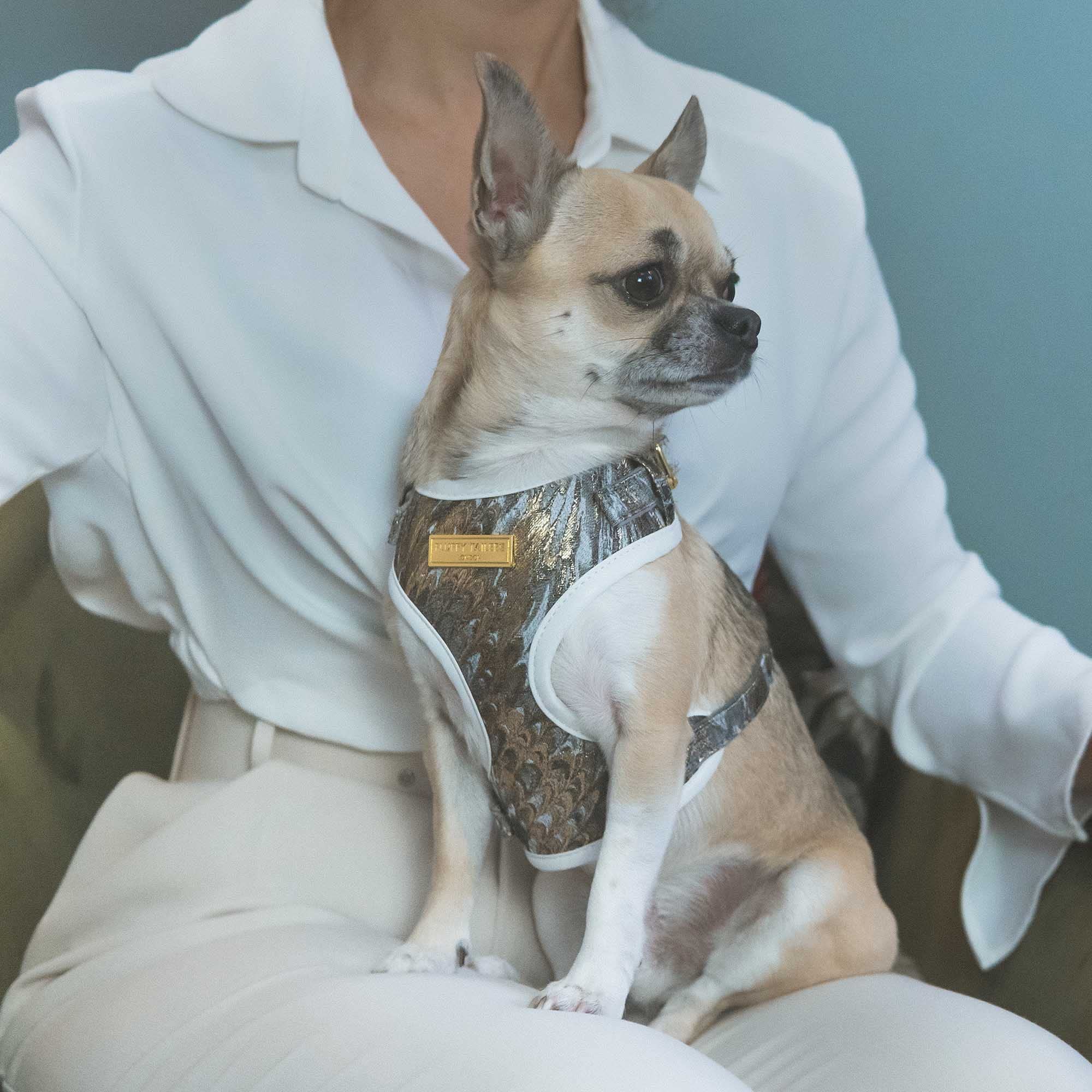 Fluffy Tailers Luxury Velvet Gold Occasion Dog Adjustable No Pull Harness with Breathable Chest Strap for Small & Medium Sized Dogs - Image 2