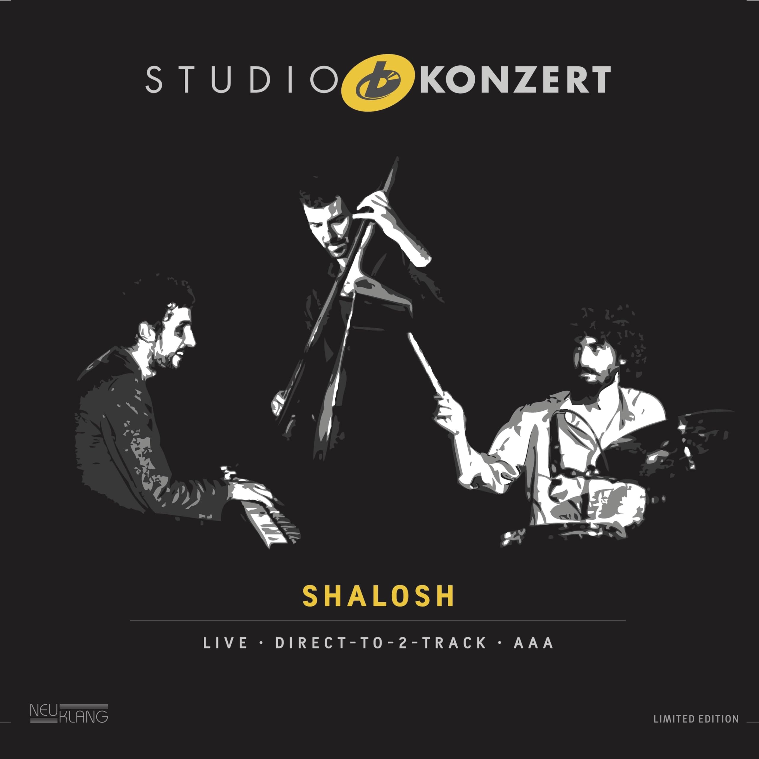 Vinyl Castle Studio Konzert