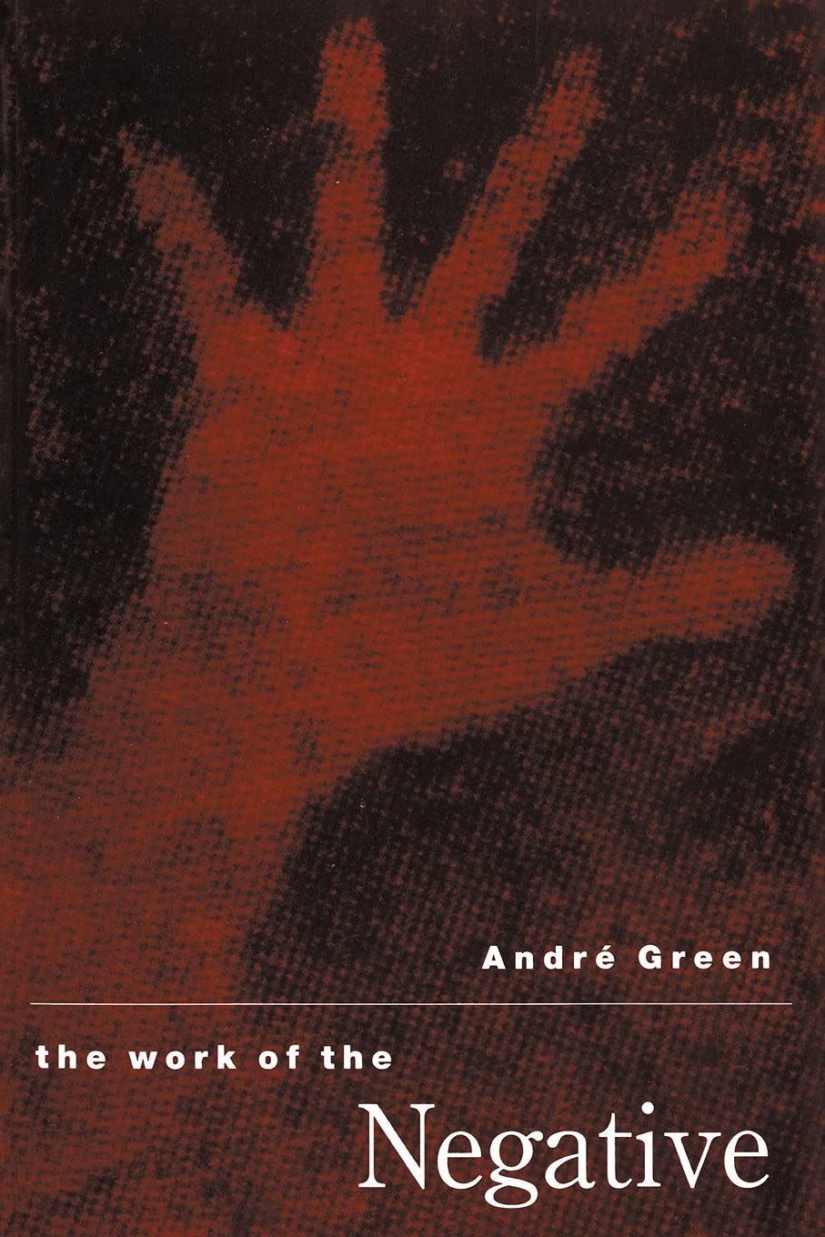 The Work of the Negative by Andre Green - 9781853434709