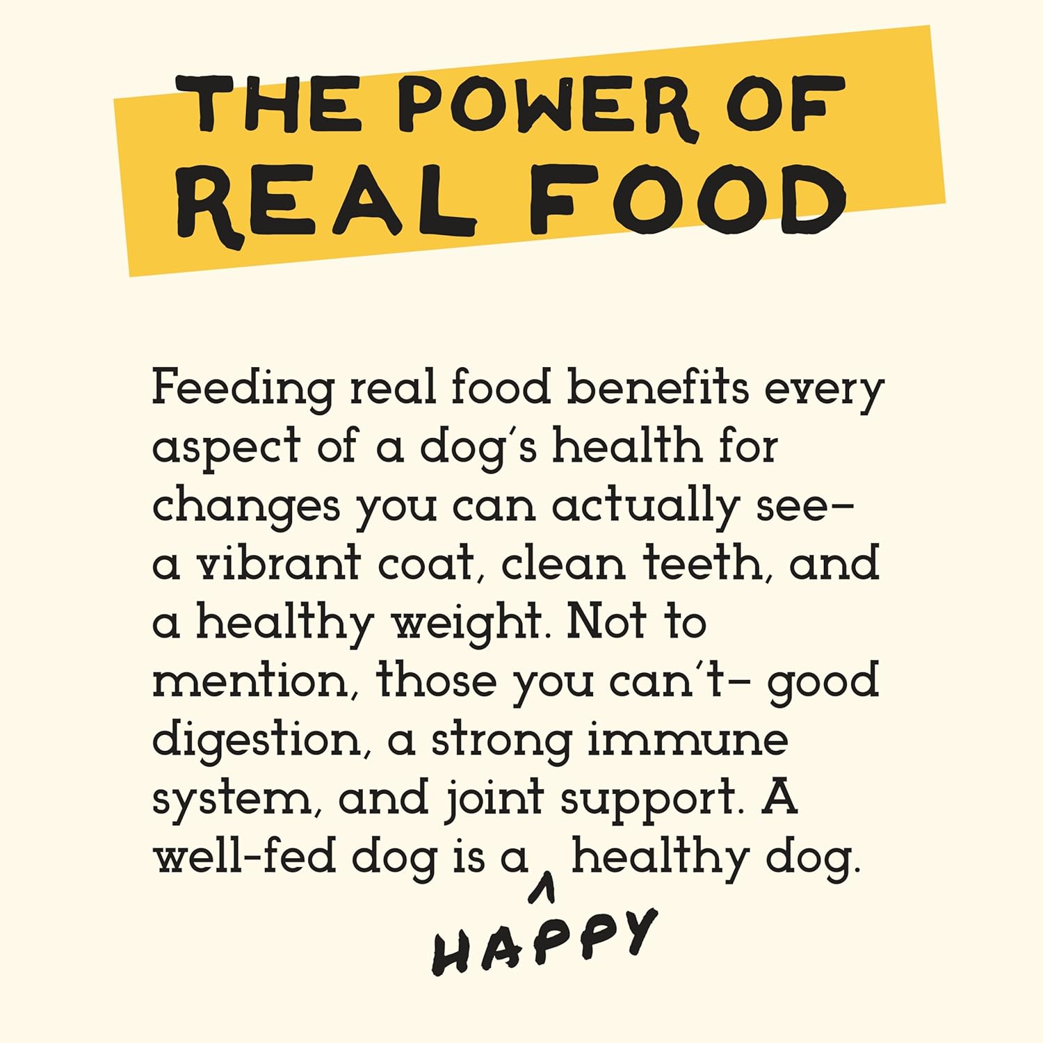 Simple Food Project - Lamb Recipe - Freeze Dried Raw Food for Dogs - 24oz