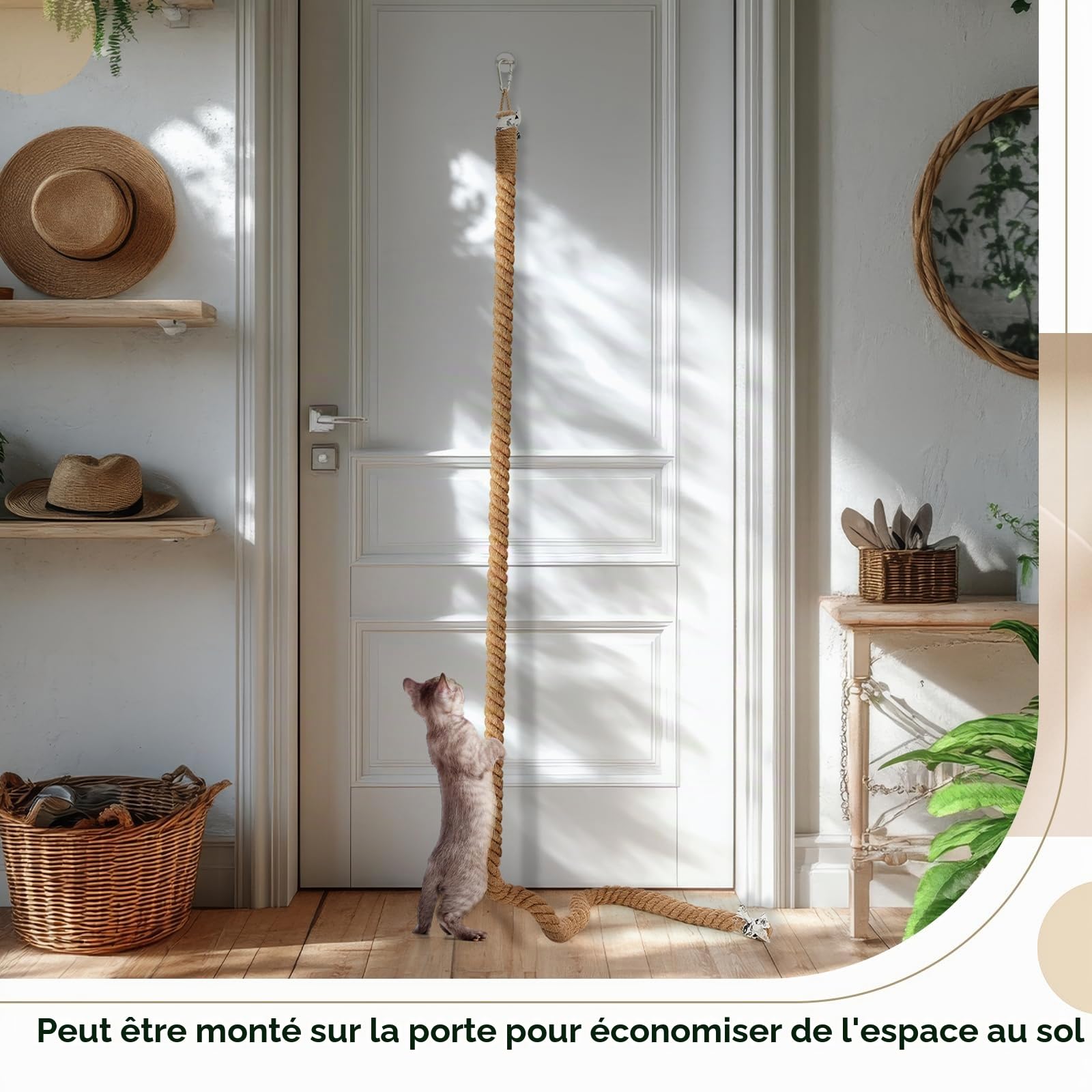Weysat Corde d'escalade pour Chat avec Crochet - Fixation Murale - 5 cm x 2,7 m - pour intérieur et extérieur