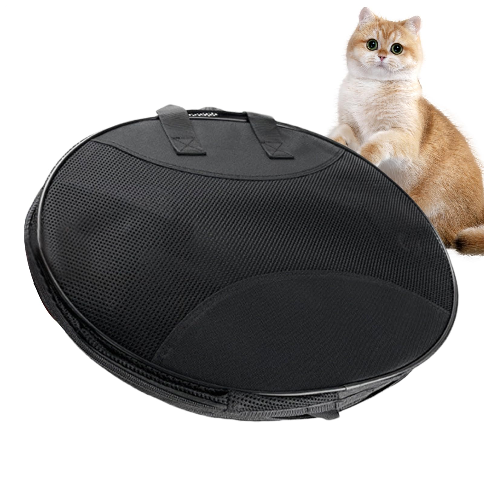Transportador de mascotas para gatitos: comparte cada viaje y picnic a su lado