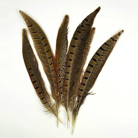 Amazon Hommy 自然 タッチ感 リングネックのキジ羽 鳥羽 6本入り 羽根 通販
