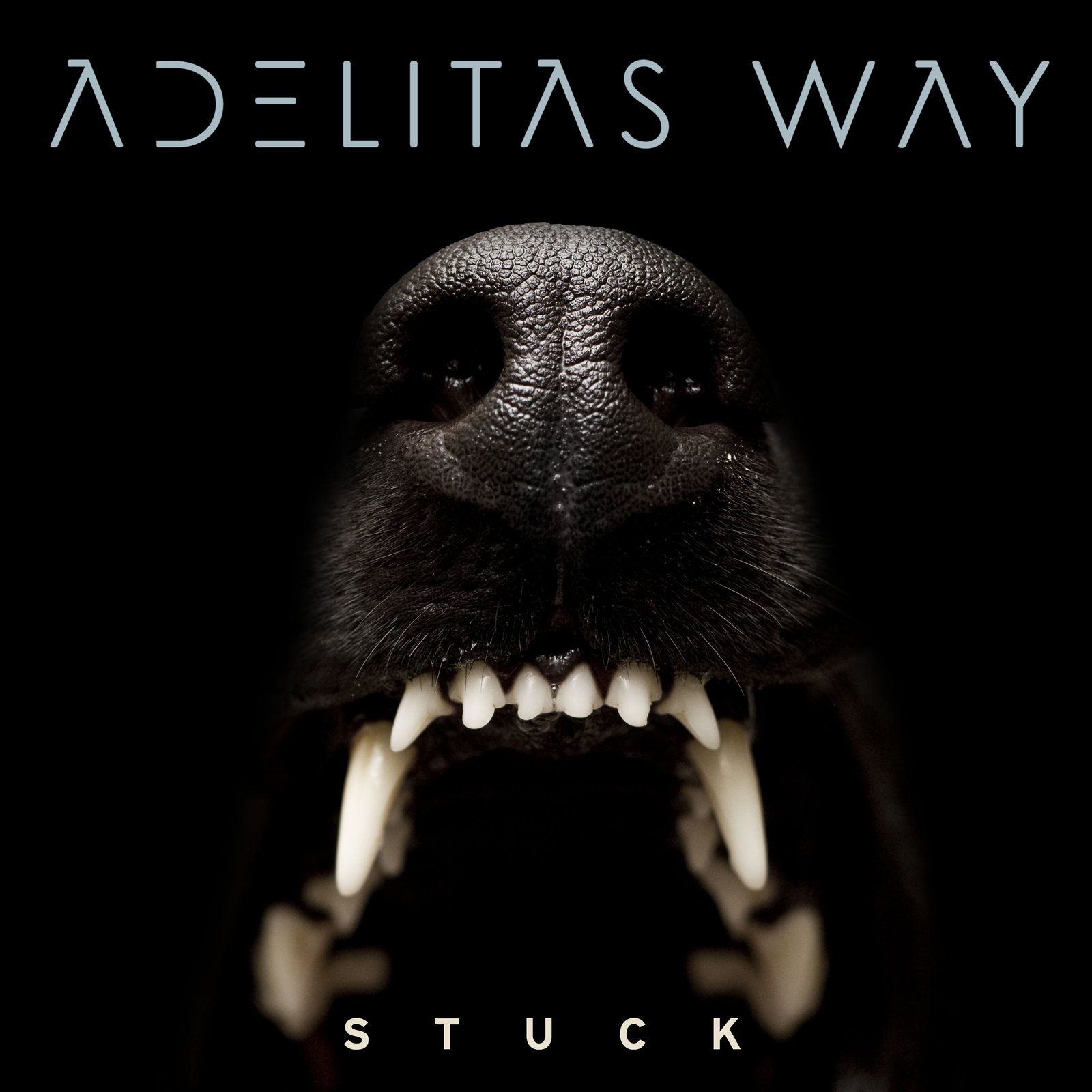 Stuck [Audio CD] ADELITAS WAY