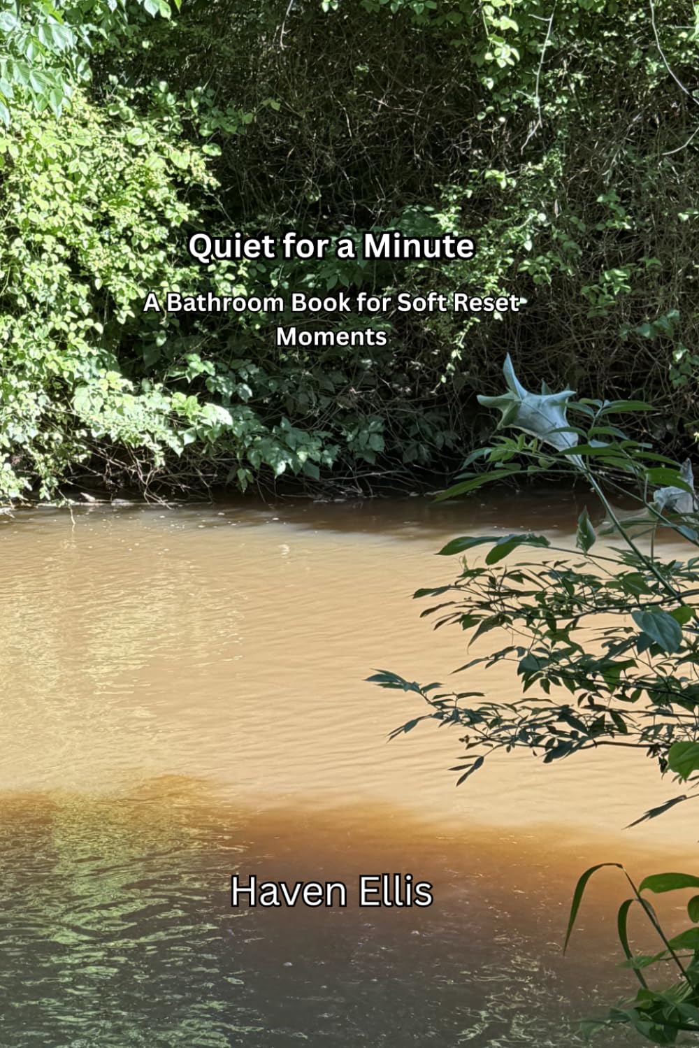 Quiet for a Minute: A Bathroom Book for Soft Reset