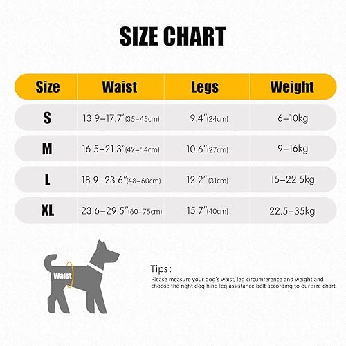 Miniatura 7 de Arnés de elevación para perros grandes, arnés de soporte para perros para patas traseras, arnés de soporte trasero ajustable para perros, gris,