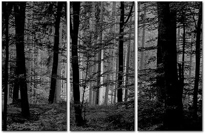 So Crazy Art- Black and White Wall Art Decor Lush Wood Forest Canvas Pictures Artwork 3 Panel Nature Landscape Painting Pr...