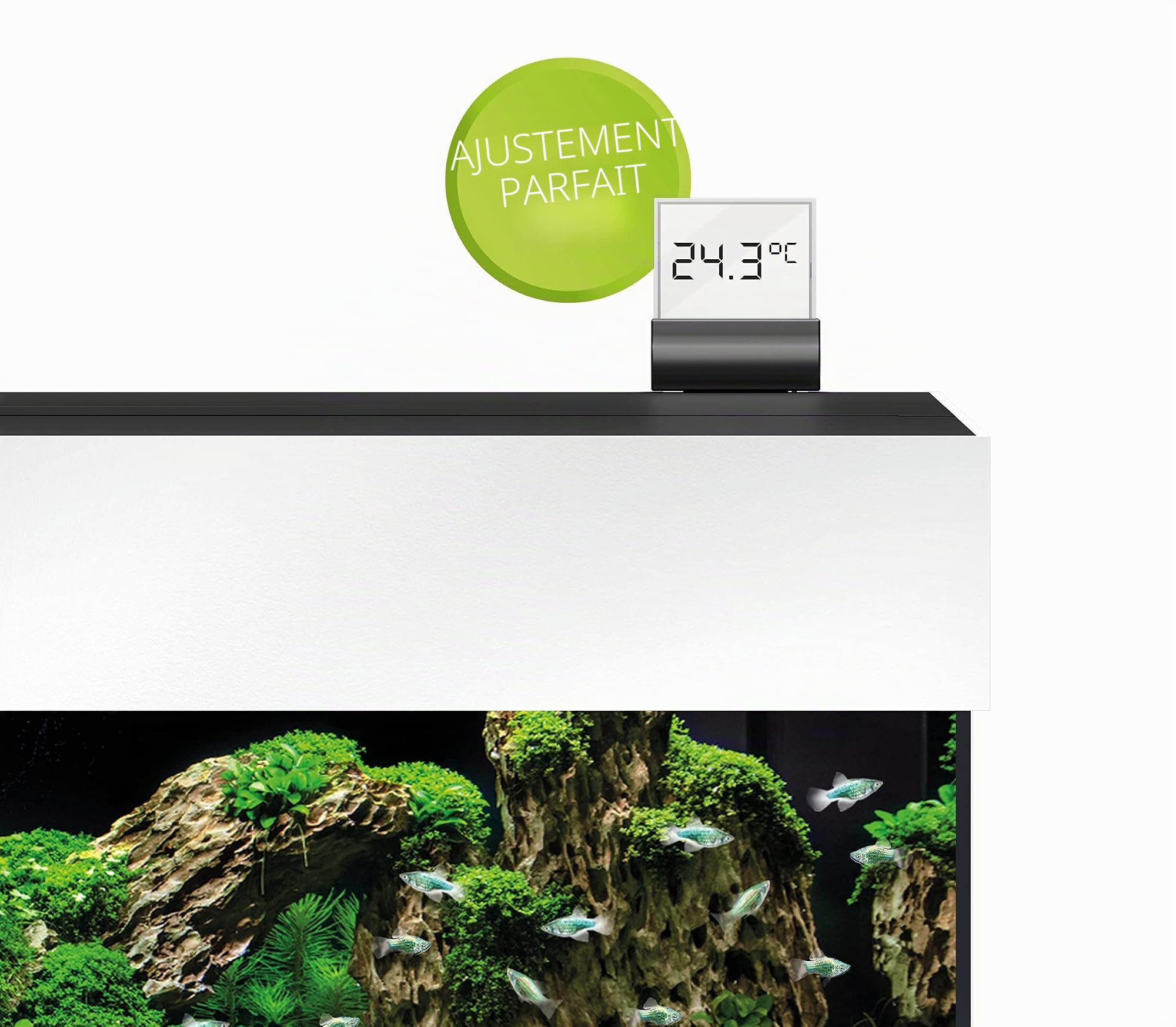 JUWEL Thermomètre numérique 3.0 pour aquarium