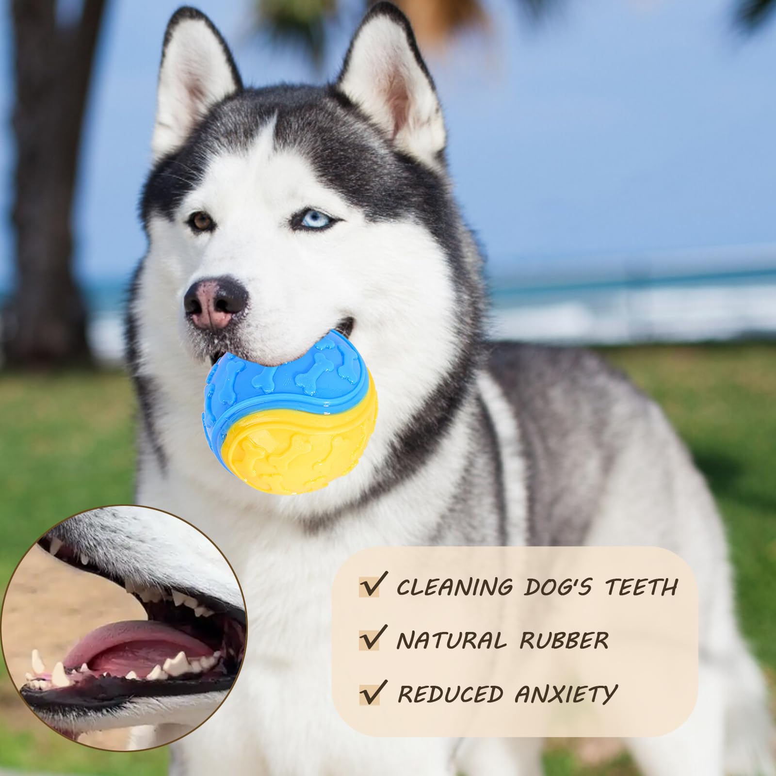 Irunfast 6 Pcs Dog Balls, Squeaky Dogs Ball Interactive Dogs Balls Puppy Chew Toys Dog Toys for Pet Playing Training, Boredom - Image 4