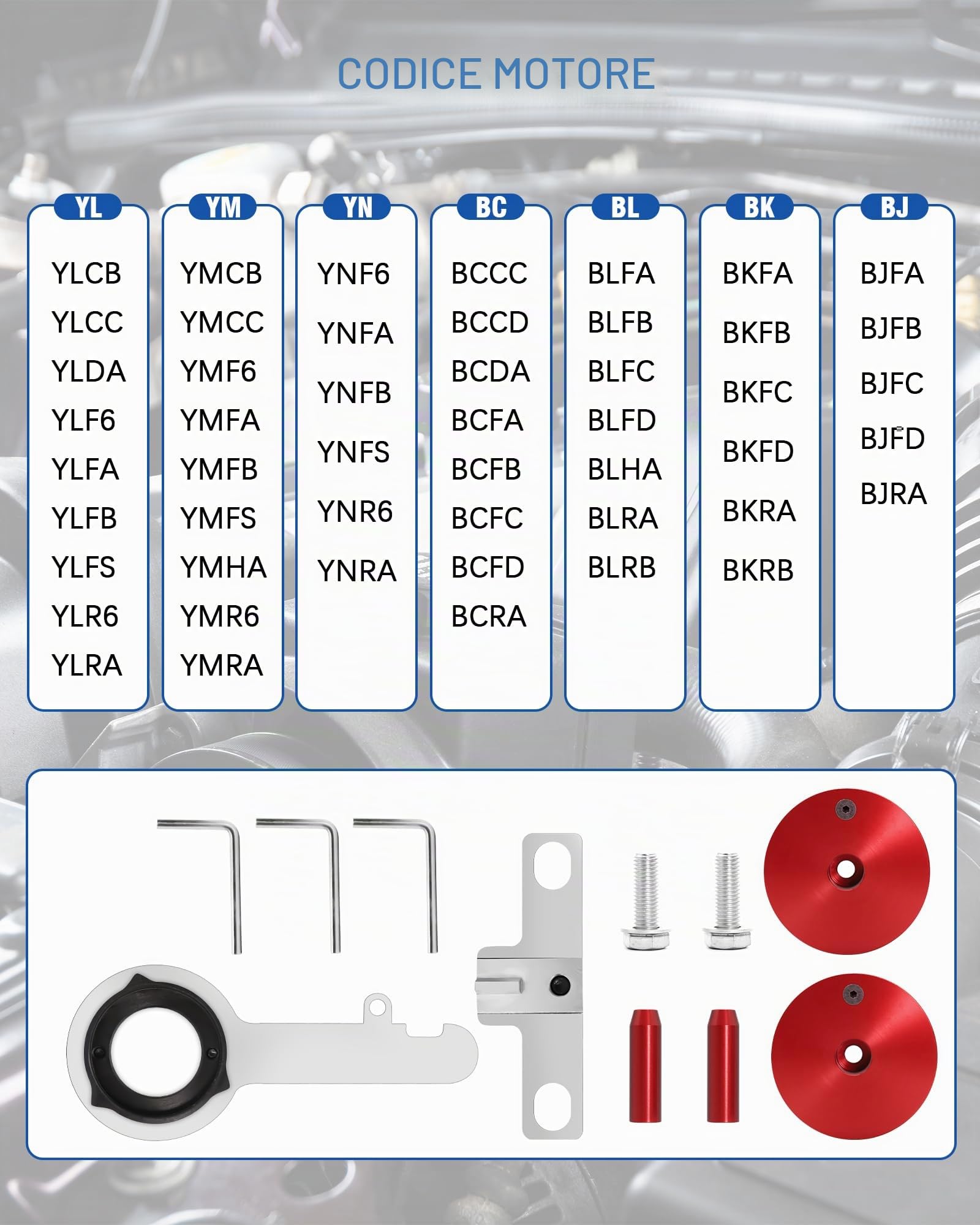 RUIZHI Kit cinghia dentata per motore auto Ford 2.0 EcoBlue, Transit S-Max TDCi strumento di regolazione del motore, set cinghie dentate 303-1637, 303-1643, 303-1650