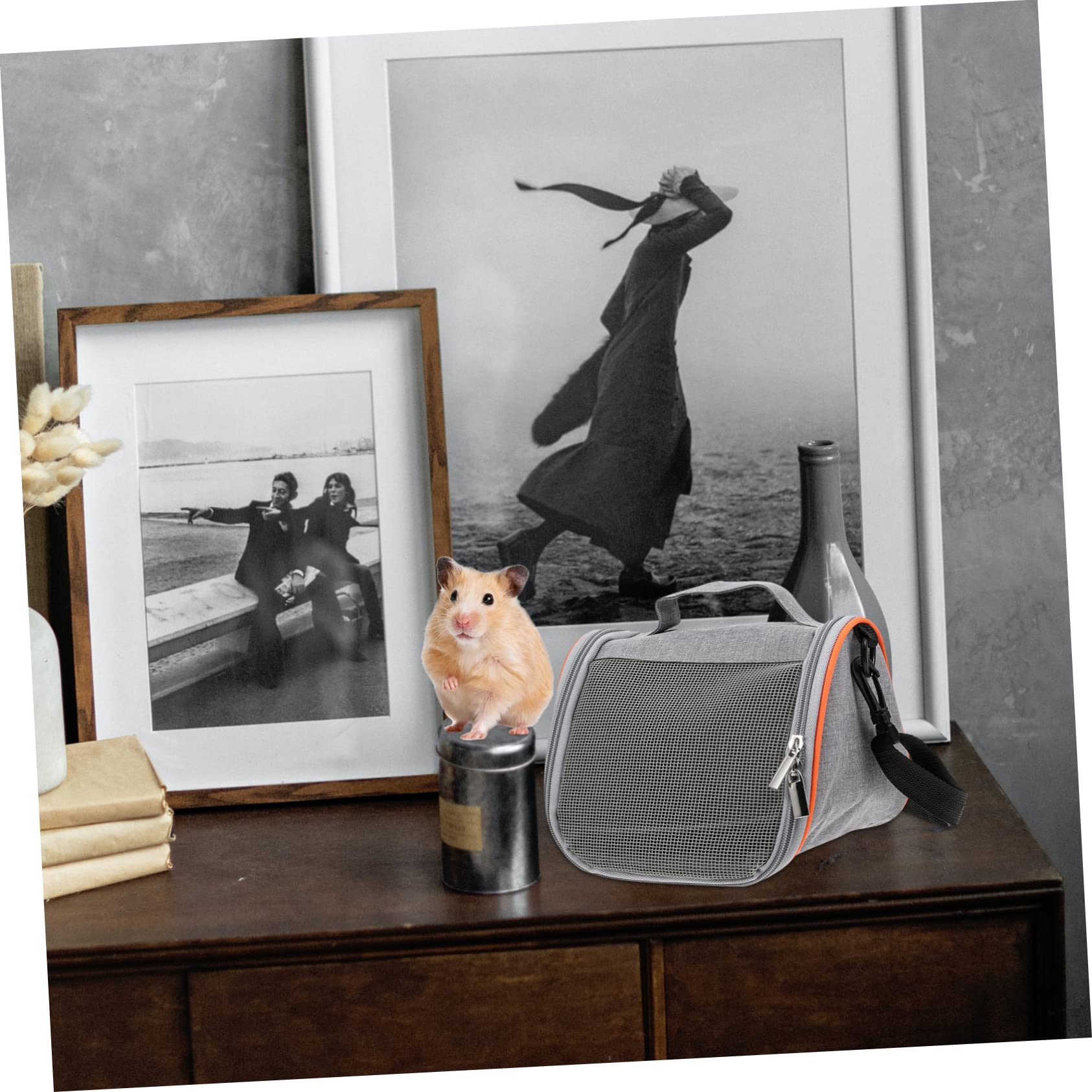 Borsa per Animali Domestici Traspirante Contenitore per Trasporto Cani e Gatti Borsa da Viaggio per Piccoli Animali come Criceti e Furetti