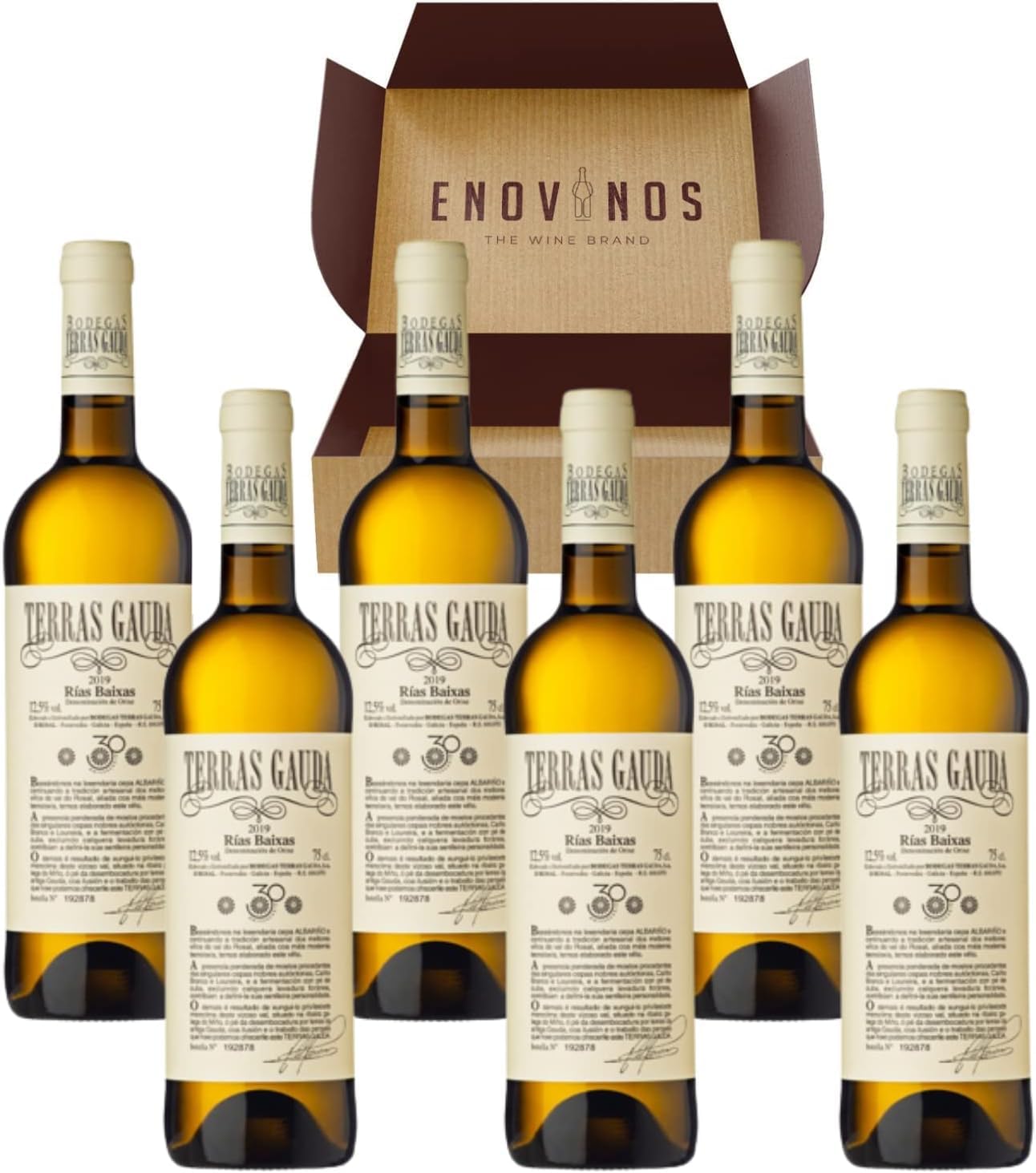 Vino Blanco Albariño Terras Gauda - 6 x Botellas de vino Albariño 75 cl - Vino Blanco Gallego - Nueva Añada Excelente 2024 - Rías Baixas - Envío 24H - Caja Reforzada - Mejor Selección ENOVINOS