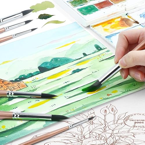 Vista 5 de Transon Juego de 8 pinceles redondos para acuarela, pelo de cabra para acuarelas, acrílicos, tintas, gouache, óleo y témpera