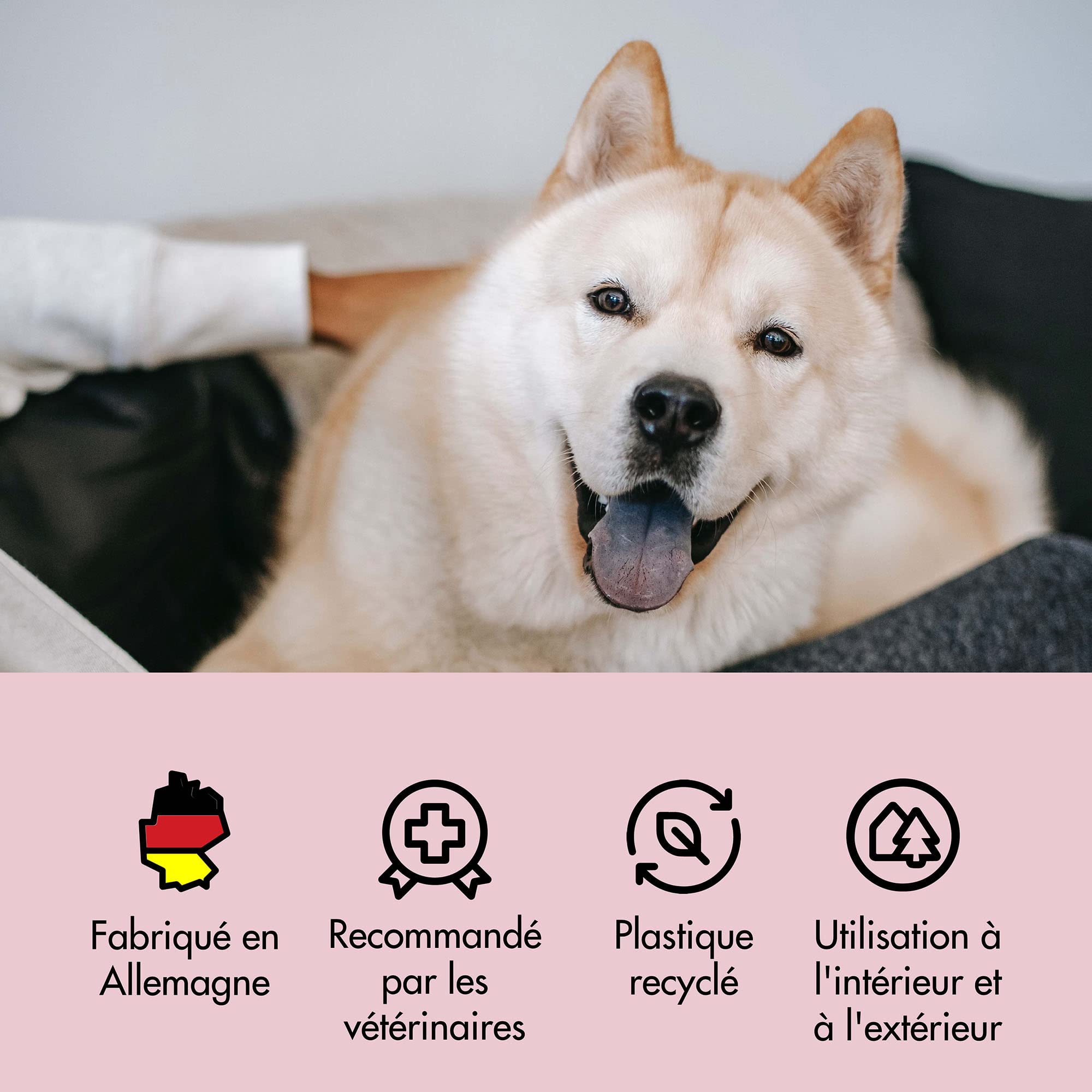 Belly Anti Marquage Urinaire pour Chien - 250ml - Non Tachant - Action Longue Durée - Spray Éducateur & Anti Urine Chien - Usage Intérieur & Extérieur - Fabriqué en Allemagne