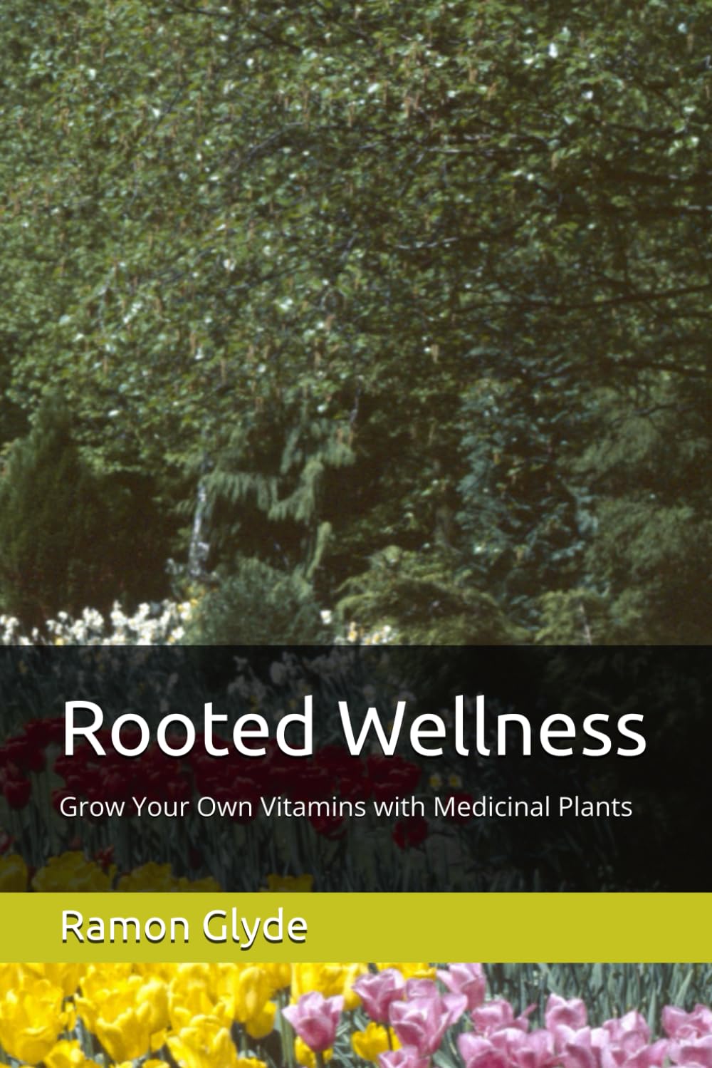 Rooted Wellness: Grow Your Own Vitamins with Medicinal Plants