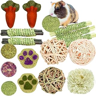 guinea pig ball amazon