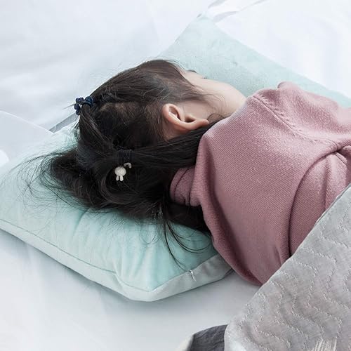 Miniatura 2 de NTBAY- Fundas de almohada de terciopelo con cremallera para niños pequeños, 2 unidades, súper suaves y acogedoras, fundas de almohada de color