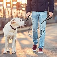 Vista 2 de Correa para perro con doble acolchado, cómodas y reflectantes con 2 asas, correas fuertes, control de entrenamiento adicional y correa para caminar