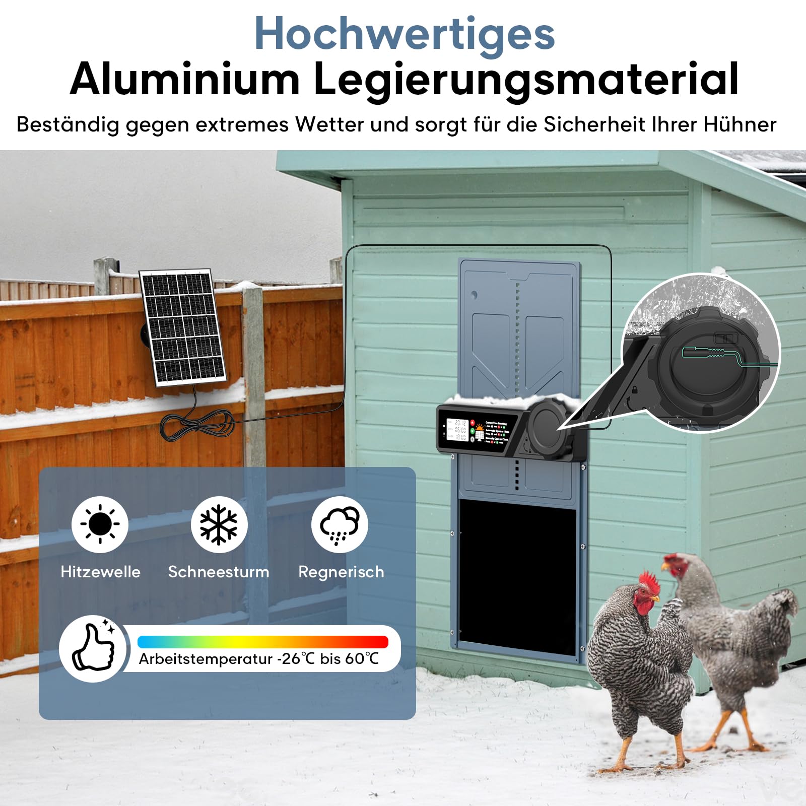 CHAMUTY Große Automatische Hühnerklappe Solar, Elektrische Hühnerklappe Automatisch mit Timer, 7W Solarpanel, LCD Display, Fernbedienung, Automatische Hühnerstalltür Hühnertür, Einklemmschutz